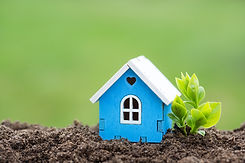 Amerika’da dolarla kira ABD’den ev arsa alma yatırımı